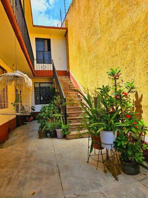 Апартаменты Depa Entero 4 Personas! Santa Cruz Xoxocotlan Экстерьер фото